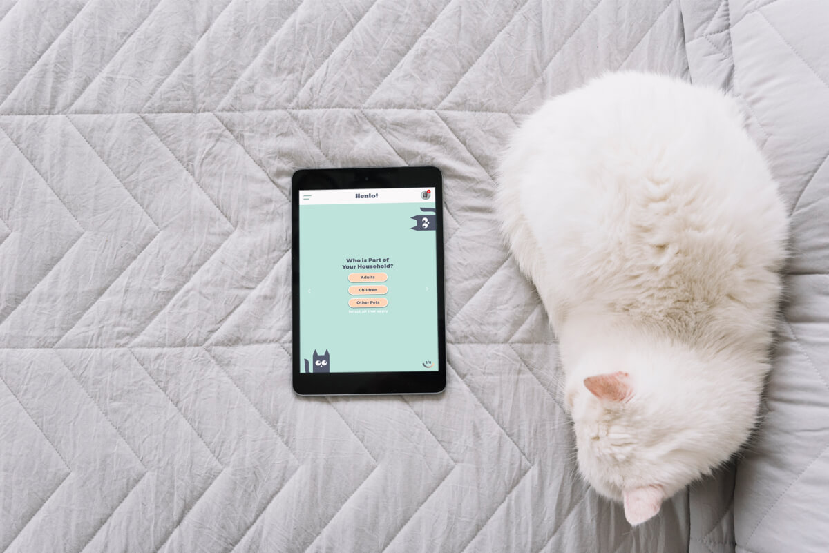 Cat with Tablet Mockup